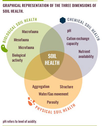 Soil Health