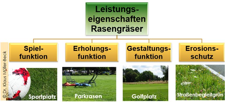 Wesentliche Leistungseigenschaften der Rasengräser in unterschiedlichen Rasentypen.