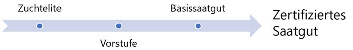 Vermehrungsgenerationen des hochwertigem Rasensaatgutes vom Züchtersaatgut bis zum zertifizierten Rasensaatgut für den Vertrieb.
